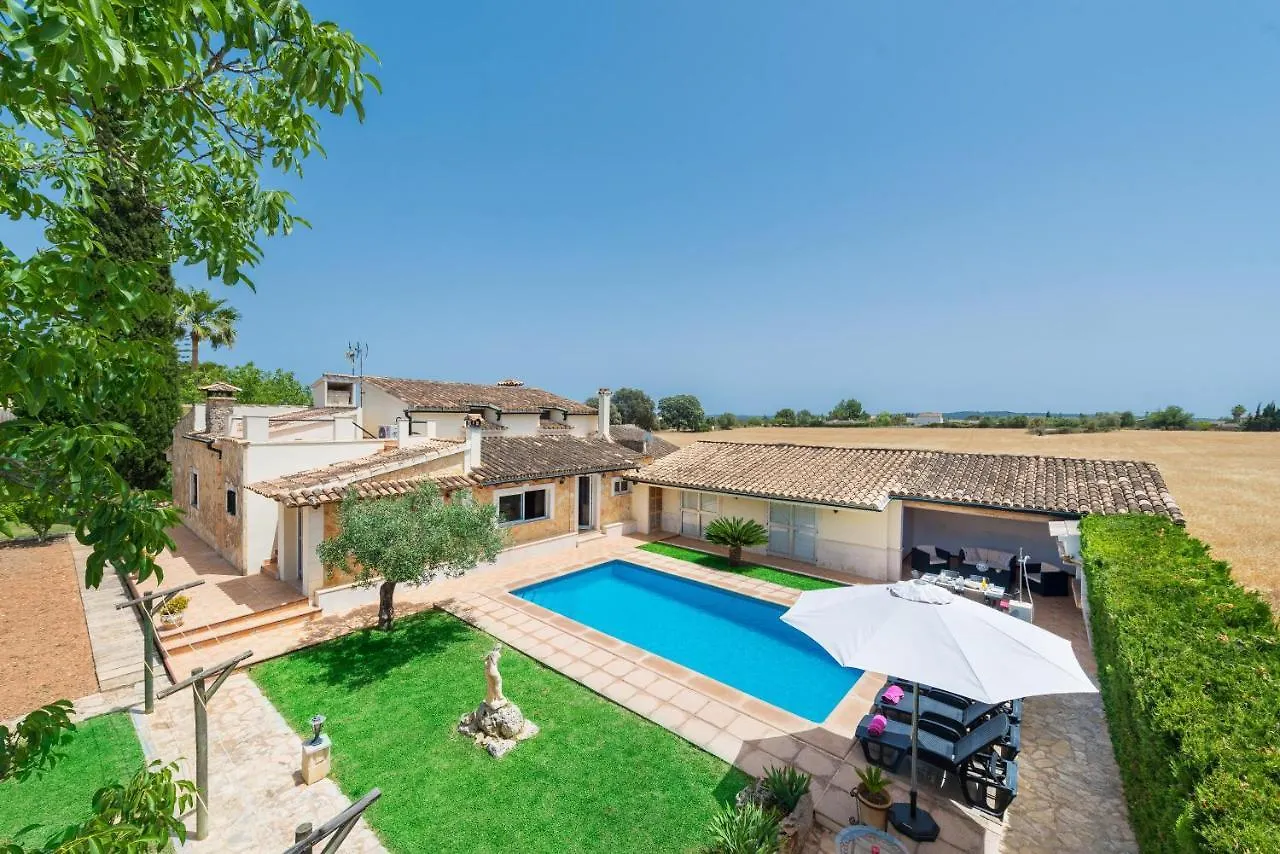 Citrino Villa Inca  Spanien