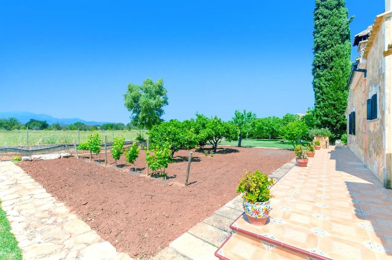 Citrino Villa Inca  Inca (Mallorca)