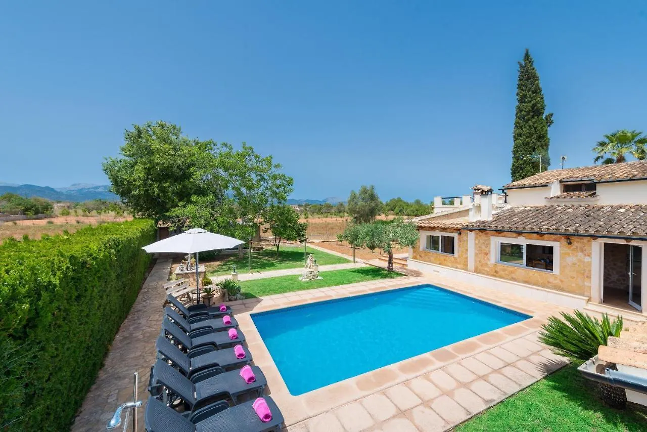 Citrino Villa Inca