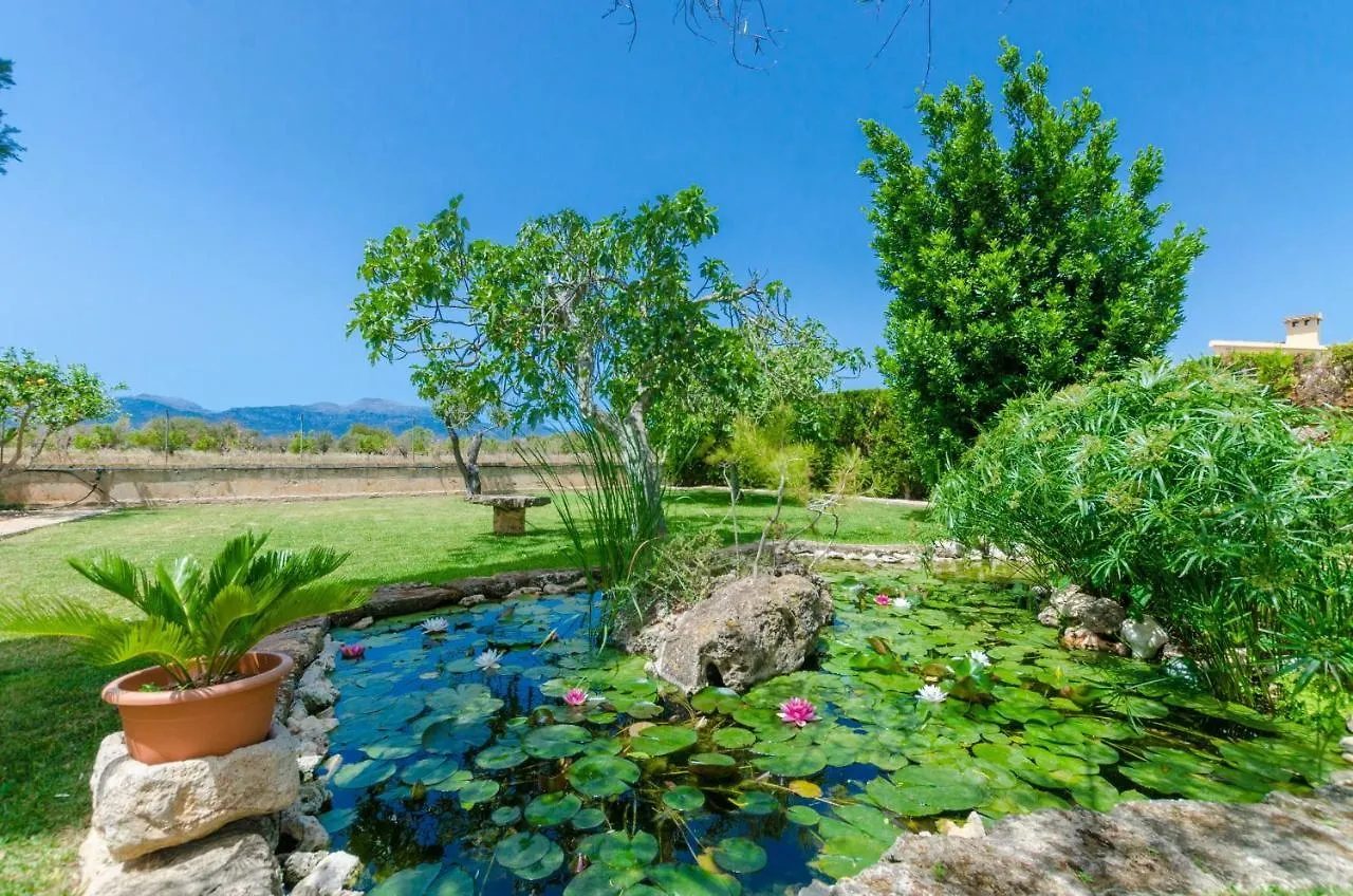 Citrino Villa Inca  İspanya
